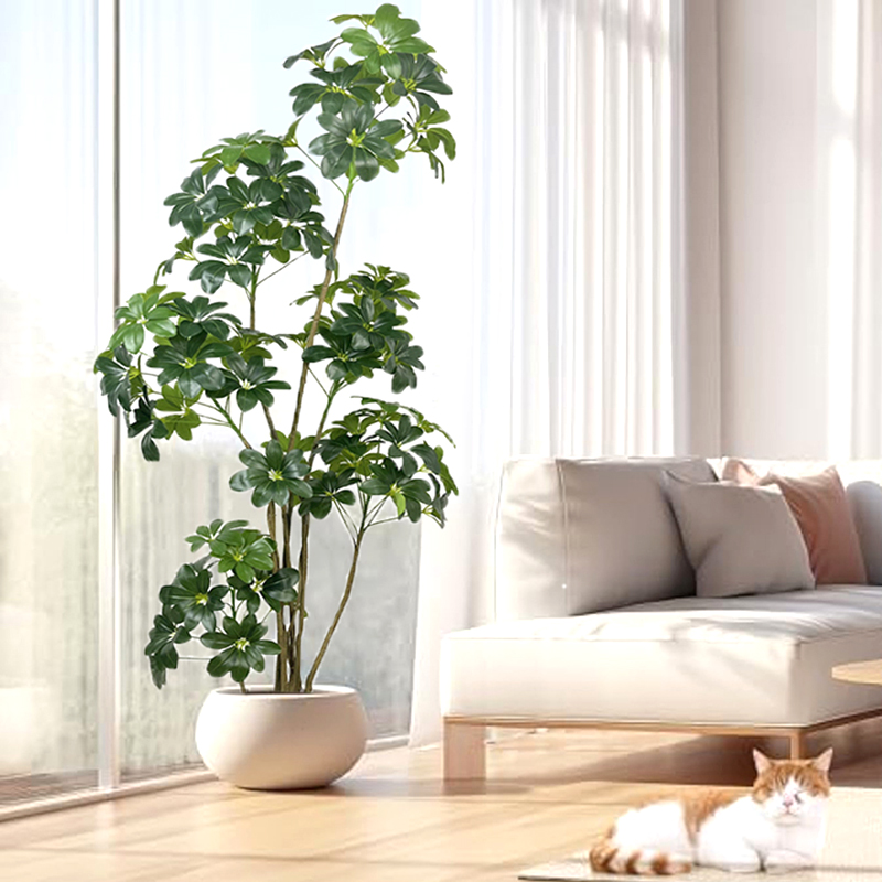 Dracaena Marginata - 74in شجرة استوائية كبيرة نباتات اللبخ