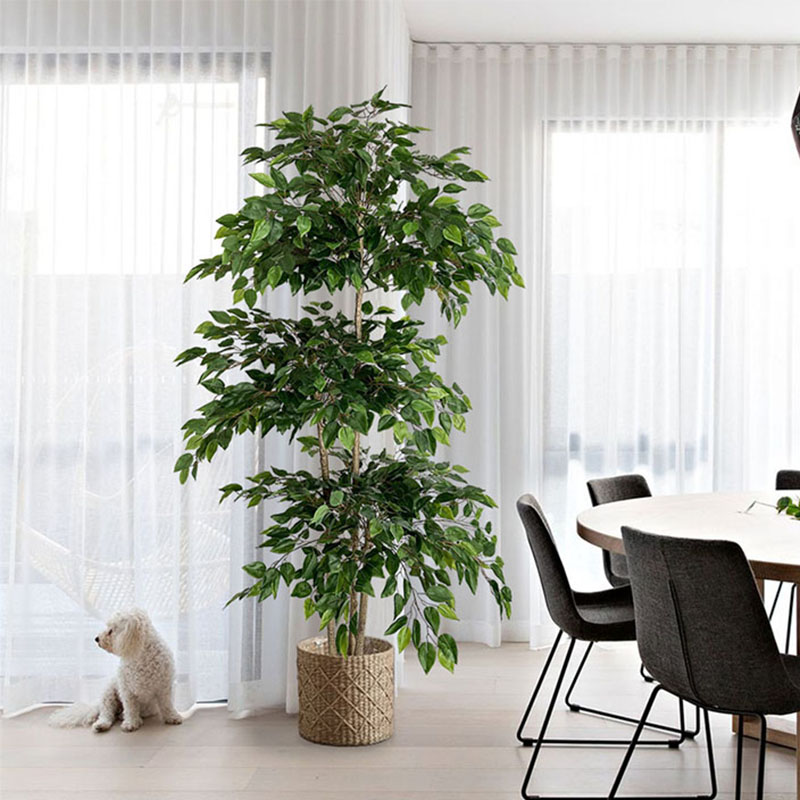 Ficus Lyrata Tree - اللبخ نباتات استوائية كبيرة اصطناعية ،