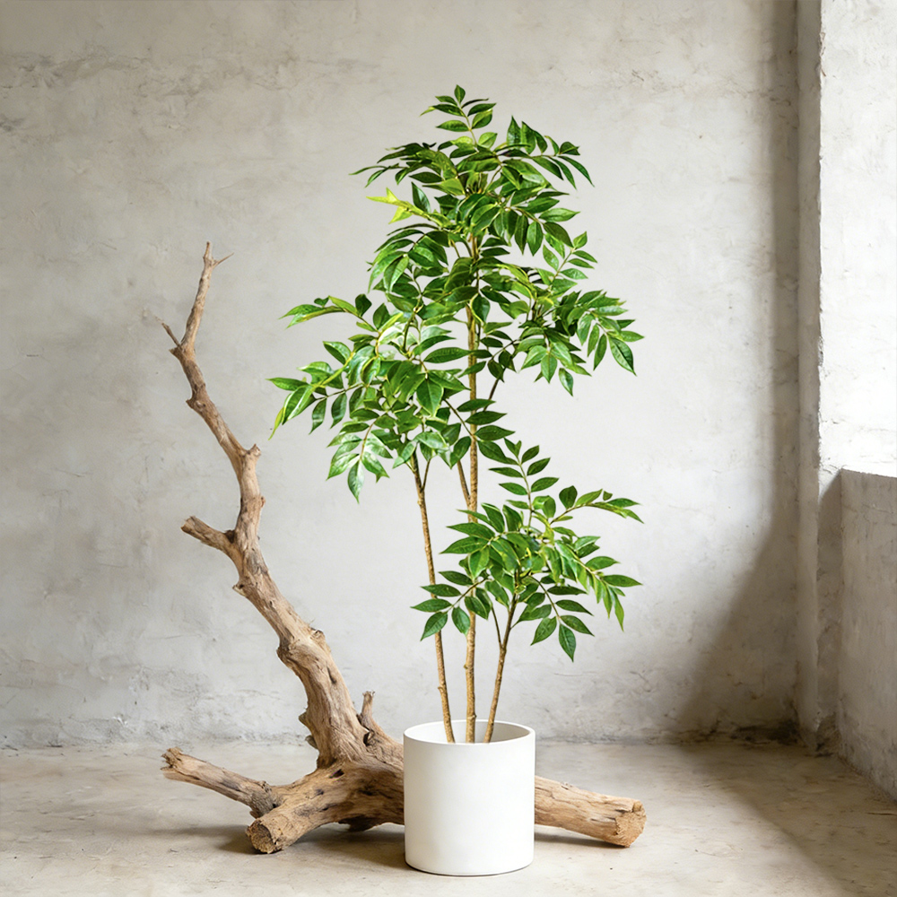 Dracaena Marginata - شجرة مطاطية صناعية بطول 76-140 سم،
