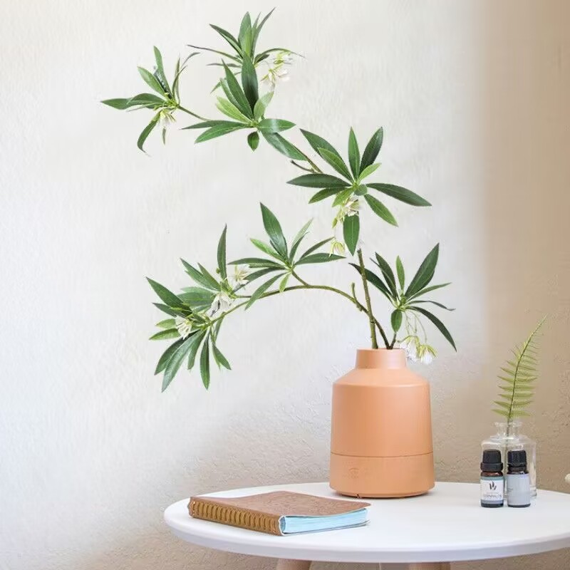 35.43 بوصة حجر الماء الاصطناعي - مراجعة Dracaena Marginata وسعره