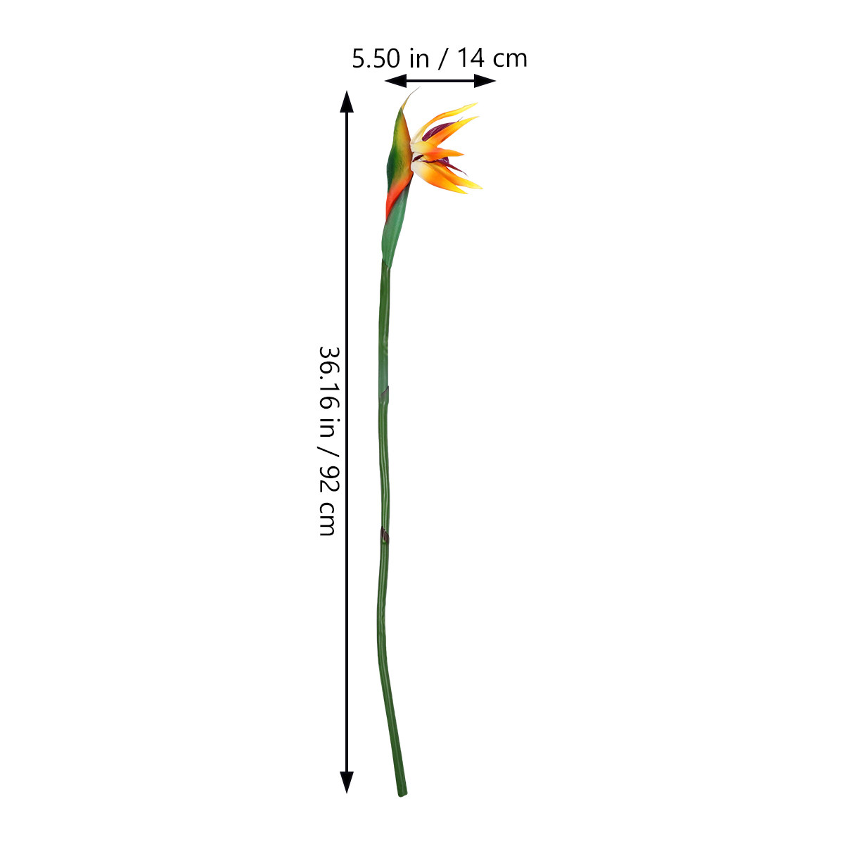 زهرة طائر الجنة الاصطناعية (ست - مراجعة Bird Paradise Strelitzia وسعره