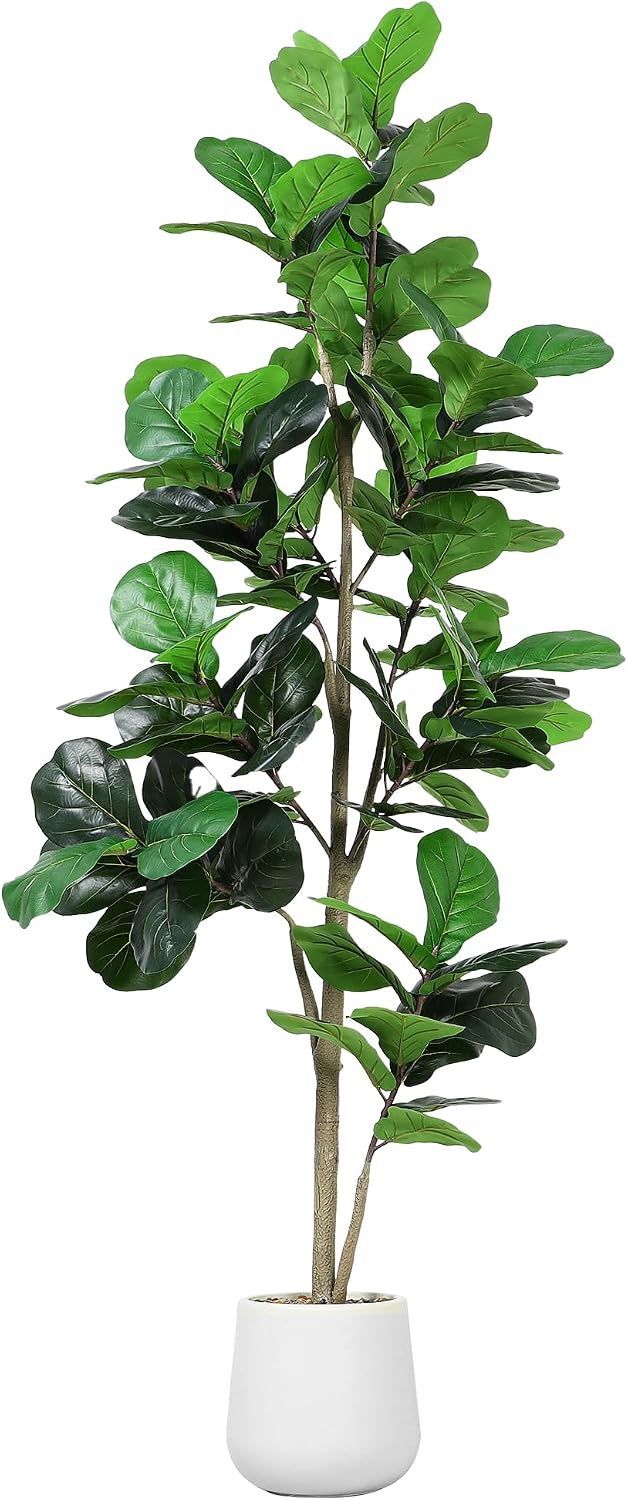 شجرة فيدال ليف صناعية بطول 7 أ - مراجعة Ficus Lyrata Tree وسعره