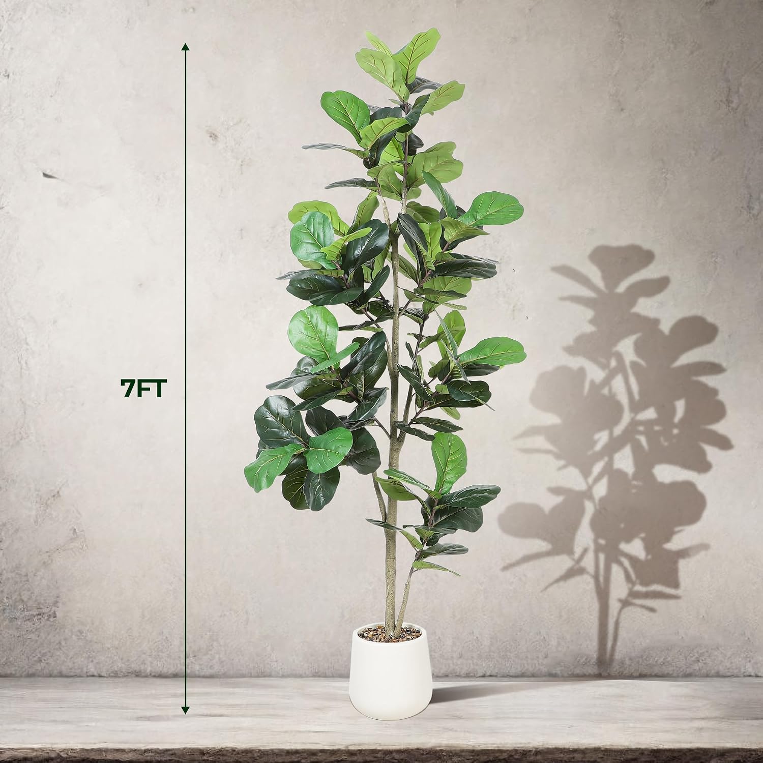 شجرة فيدال ليف صناعية بطول 7 أ - مراجعة Ficus Lyrata Tree وسعره