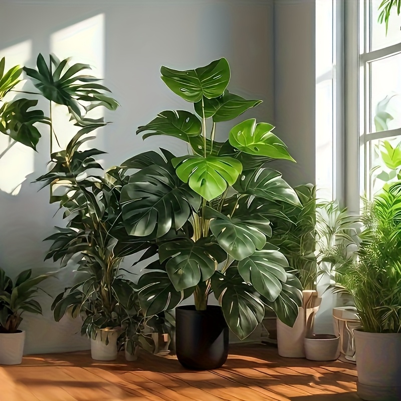 شجرة نخيل مونستيرا اصطناعية وا - مراجعة Dracaena Marginata وسعره