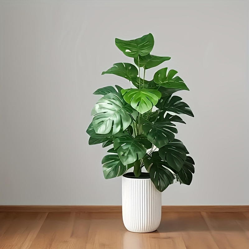 شجرة نخيل مونستيرا اصطناعية وا - مراجعة Dracaena Marginata وسعره