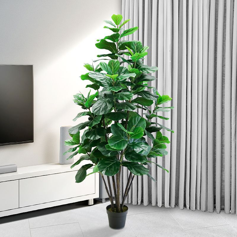 نبات فيكس ليراتا صناعي كبير ال - مراجعة Ficus Lyrata Tree وسعره