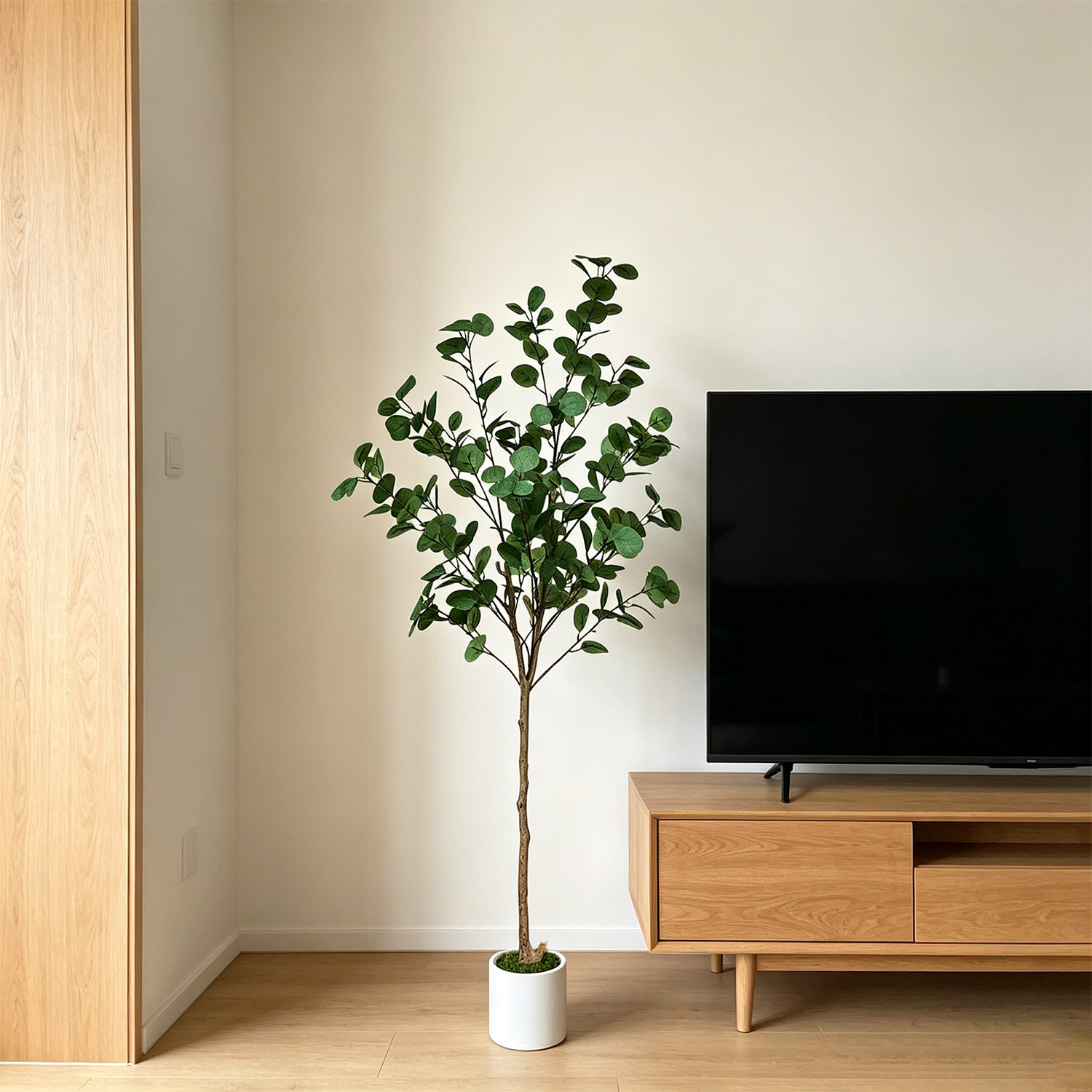 شجرة أوكالبتوس اصطناعية بطول 1 - مراجعة Dracaena Marginata وسعره