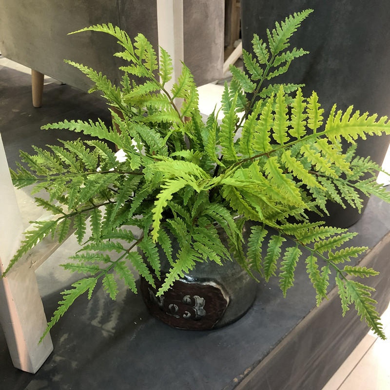 1 قطعة النباتات الاصطناعية غرف - مراجعة Dracaena Marginata وسعره
