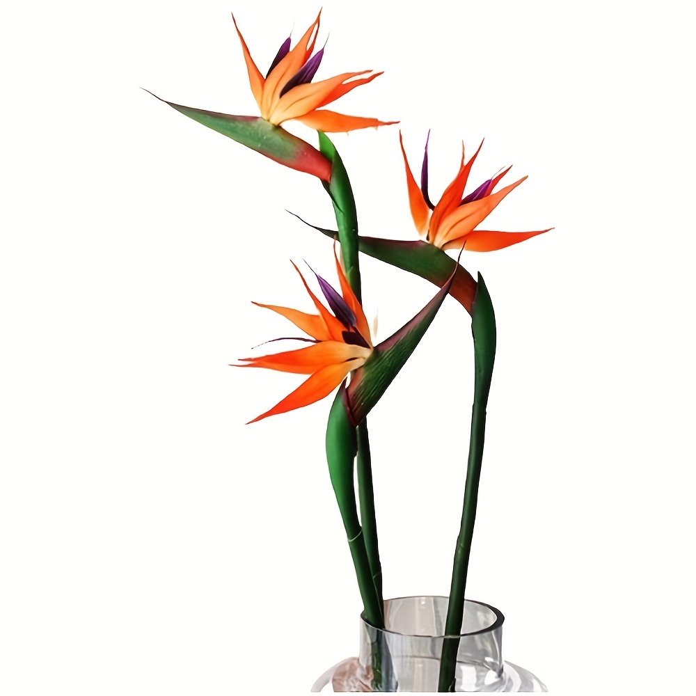 طائر اصطناعي من زهور الفردوس ، - مراجعة Bird Paradise Strelitzia وسعره