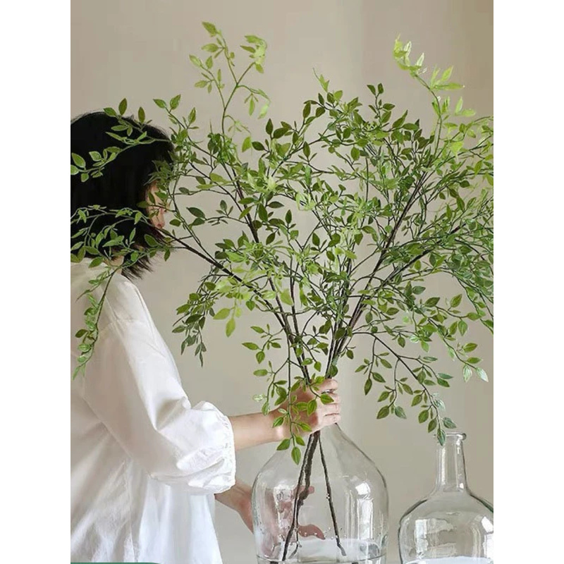 نباتات خضراء اصطناعية بفرع واح - مراجعة Dracaena Marginata وسعره