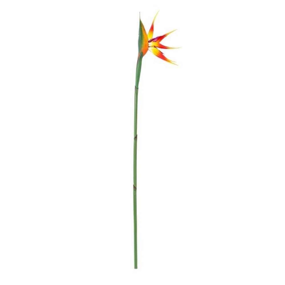 زهور ستريليتزيا اصطناعية جديدة - مراجعة Bird Paradise Strelitzia وسعره