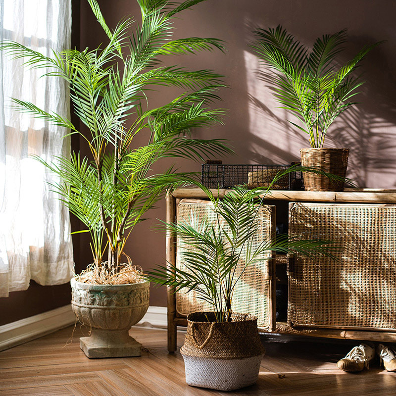 شجرة نخيل صناعية كبيرة بطول 12 - مراجعة Dracaena Marginata وسعره